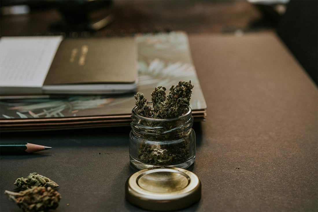 Cannabis fermentieren: Unsere Schritt-für-Schritt Anleitung