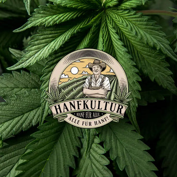 Autoflower F1 Hybride