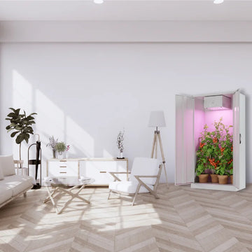 Growschrank