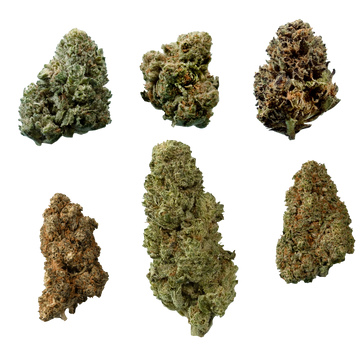 Blütenmix Popcorn-Buds