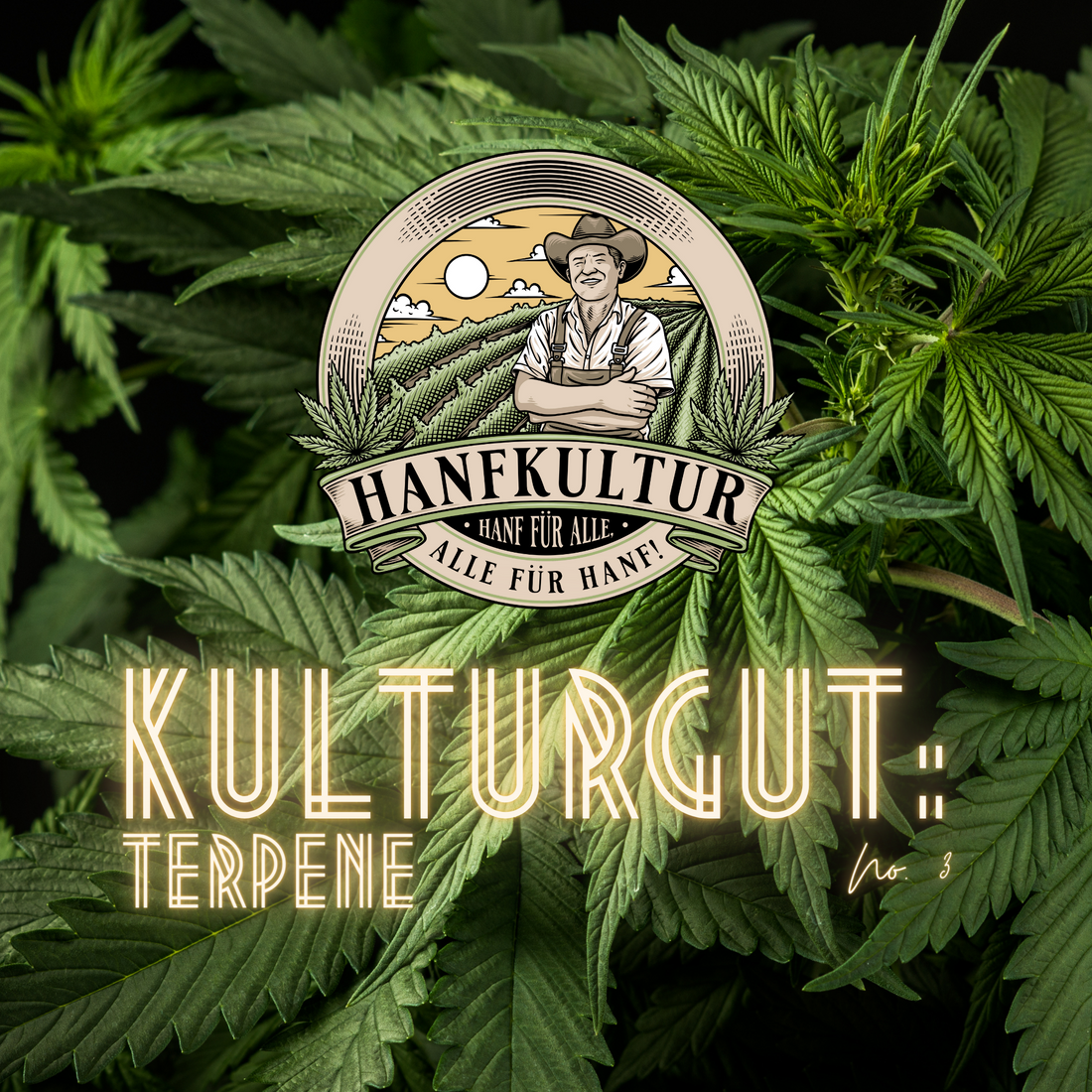 Kulturgut No. 3: Terpene