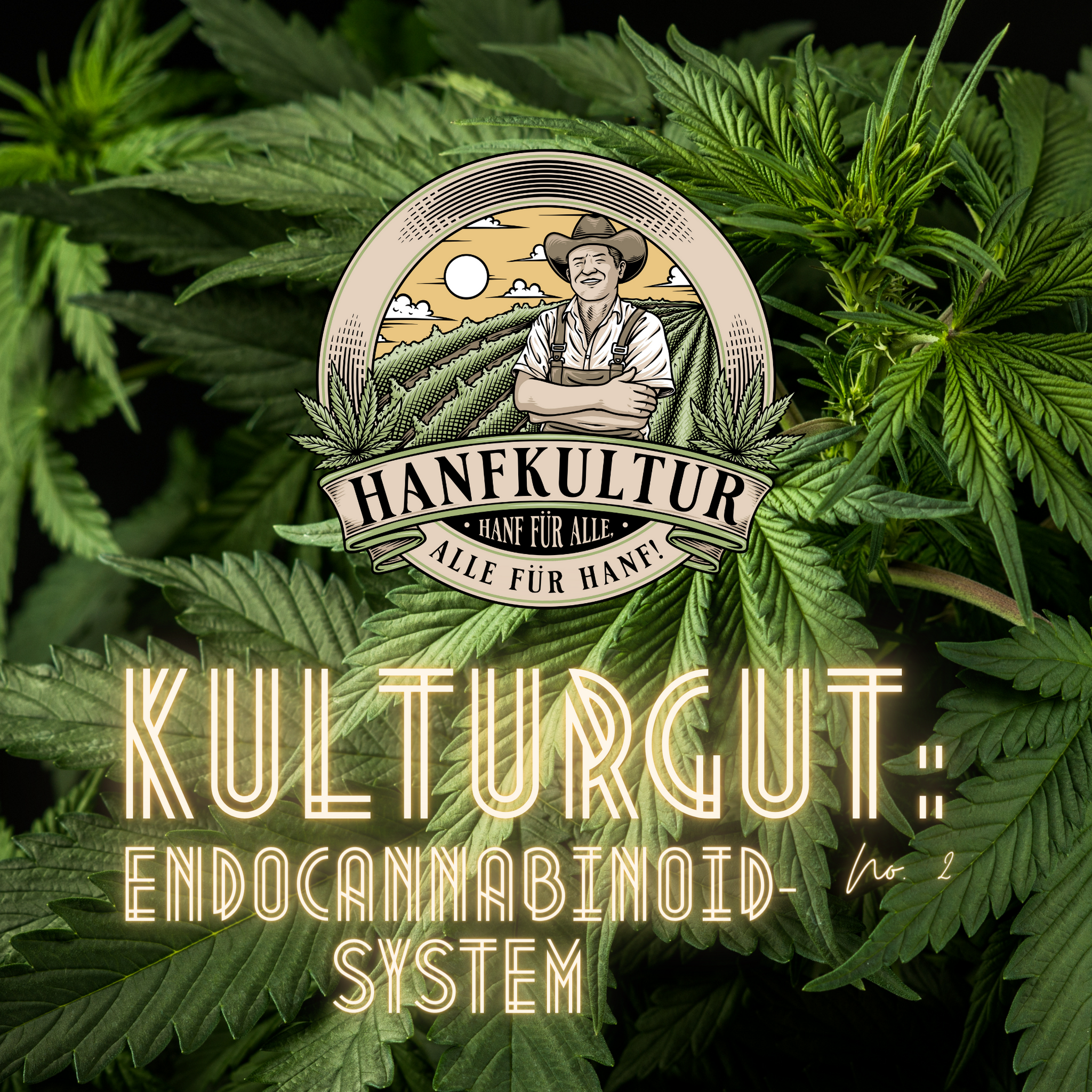 Kulturgut No. 2: Endocannabinoid-System