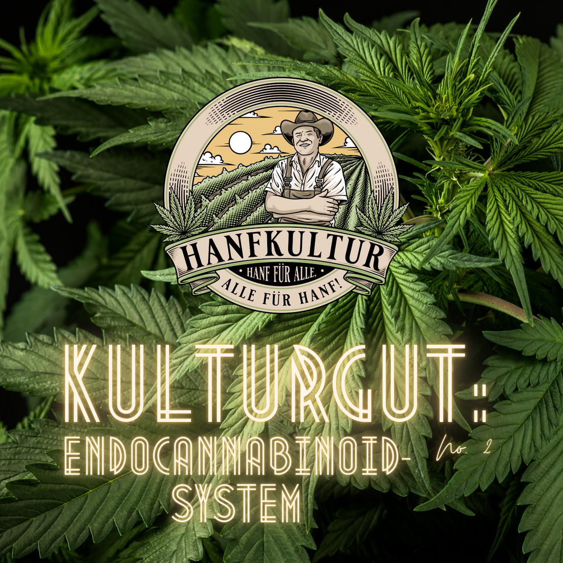 Kulturgut No. 2: Endocannabinoid-System