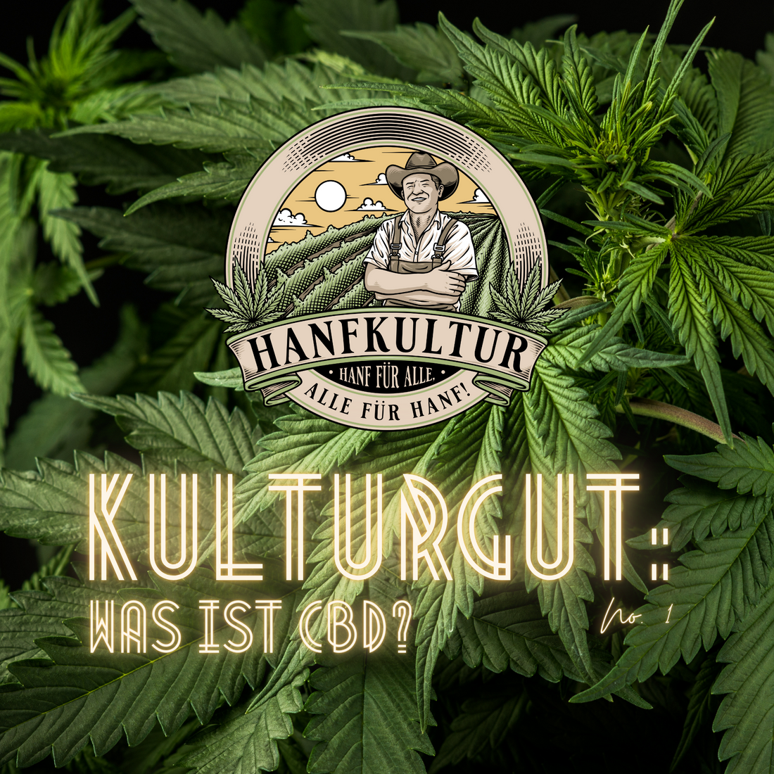 Kulturgut No. 1: Was ist CBD?