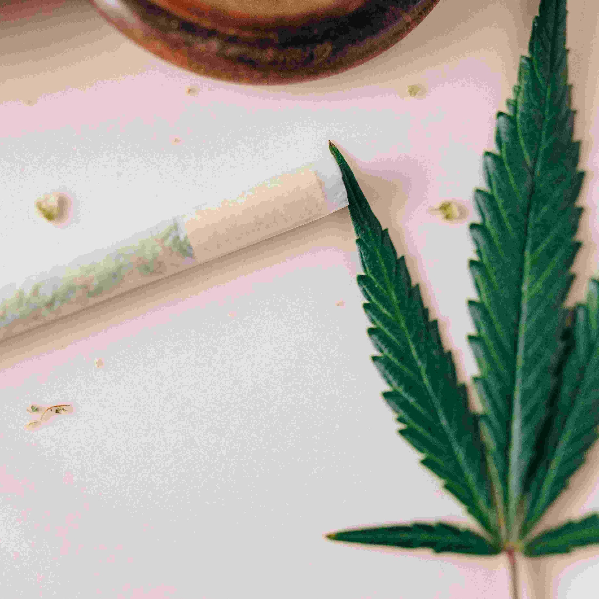 Maximale Potenz: Alles zur Vaporizer vs. Joint Wirkung