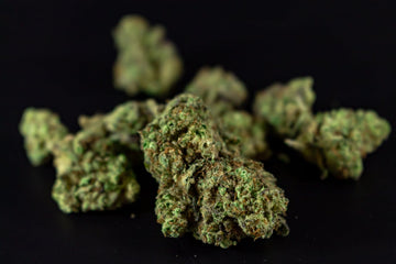 Cannabis einfrieren: Was du wirklich wissen musst