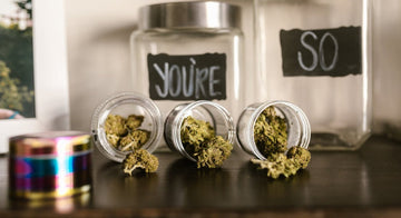 Cannabis lagern: Die besten Tipps für langanhaltende Frische, Qualität & Potenz