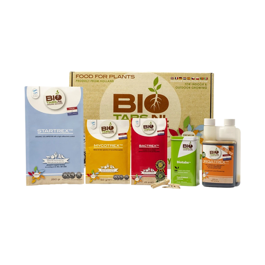BioTabs Starterbox