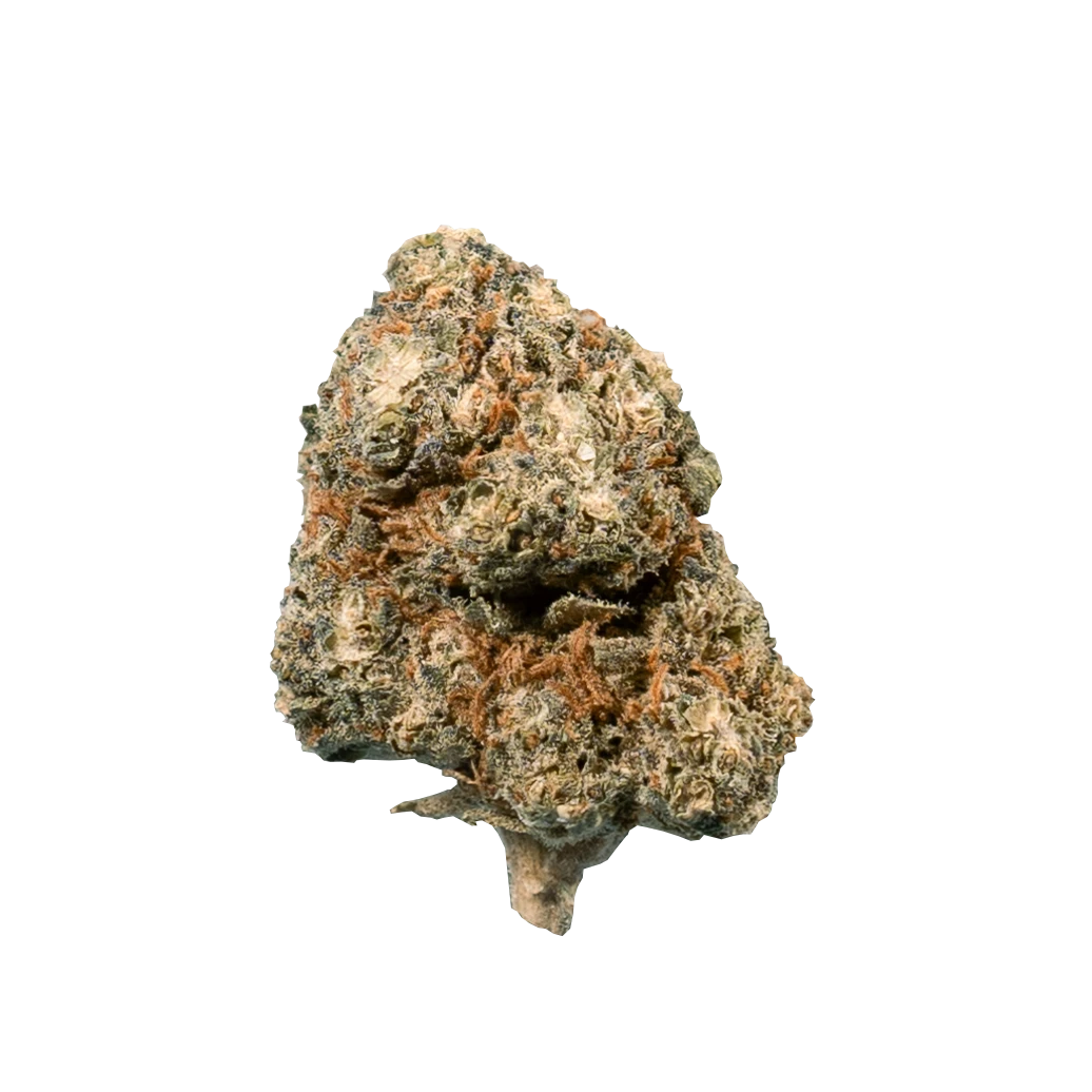 Blueberry Muffin CBD