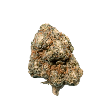 Blueberry Muffin CBD