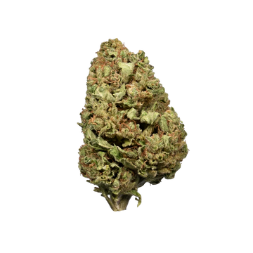 Girl Scout Cookies CBD