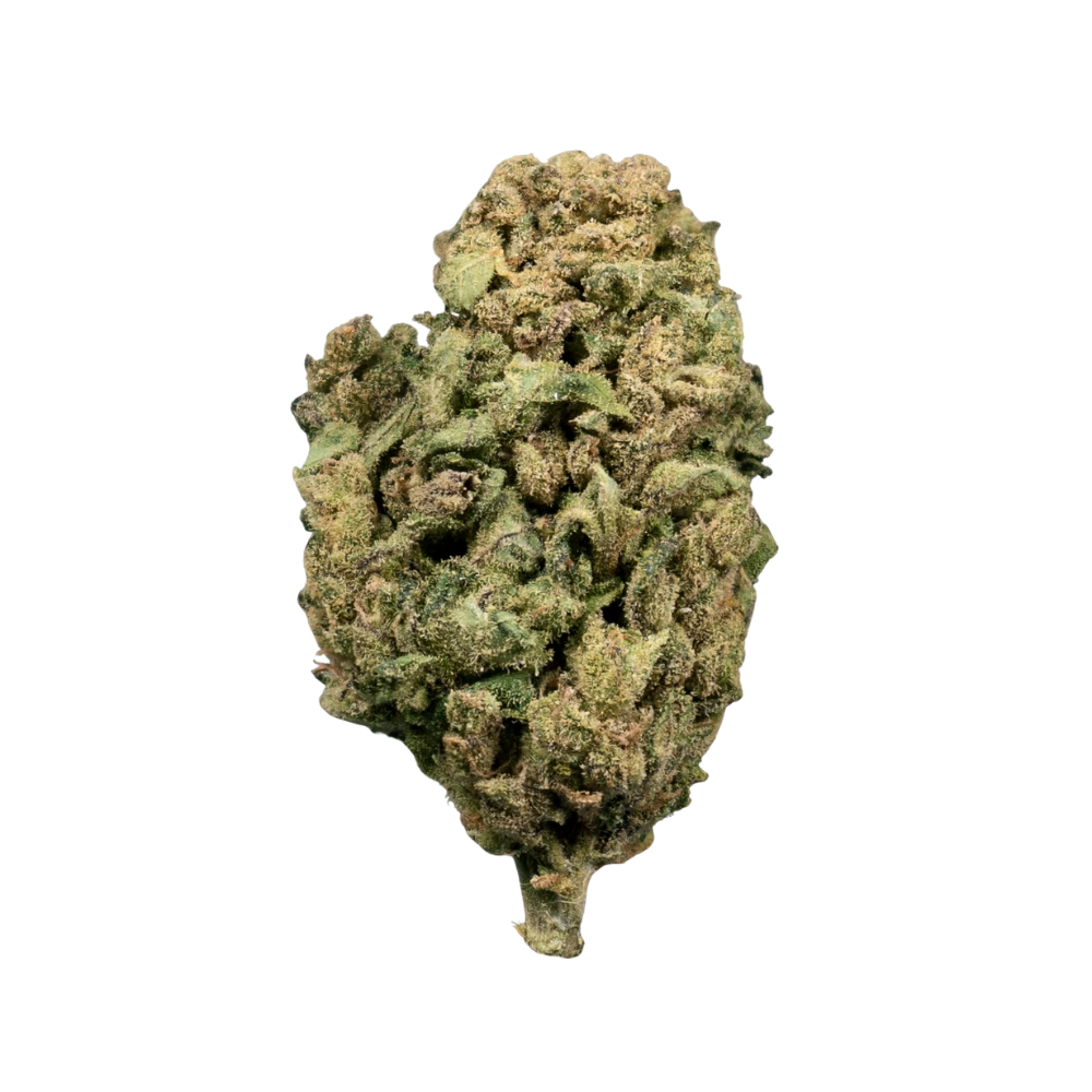 Gelato CBD