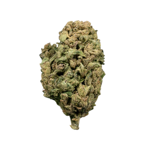 Gelato CBD-Blüte mit kompaktem, harzigem Bud in Grün- und Brauntönen, fein beschnitten, isoliert auf weißem Hintergrund