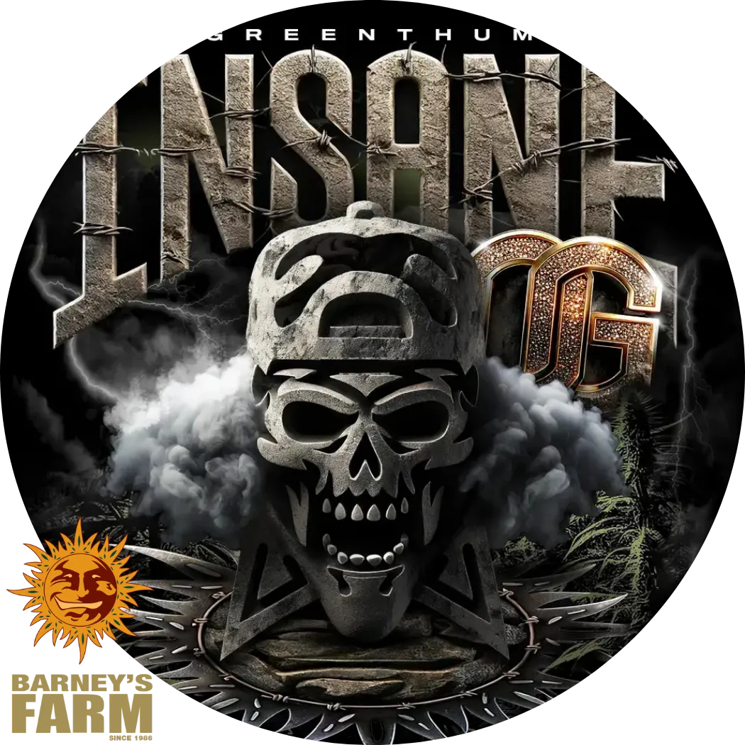 Insane OG