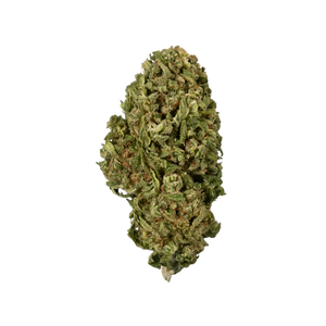 Sour Diesel CBD Blüten mit kompaktem grünen Bud, orangefarbenen Härchen und harziger Struktur auf weißem Hintergrund