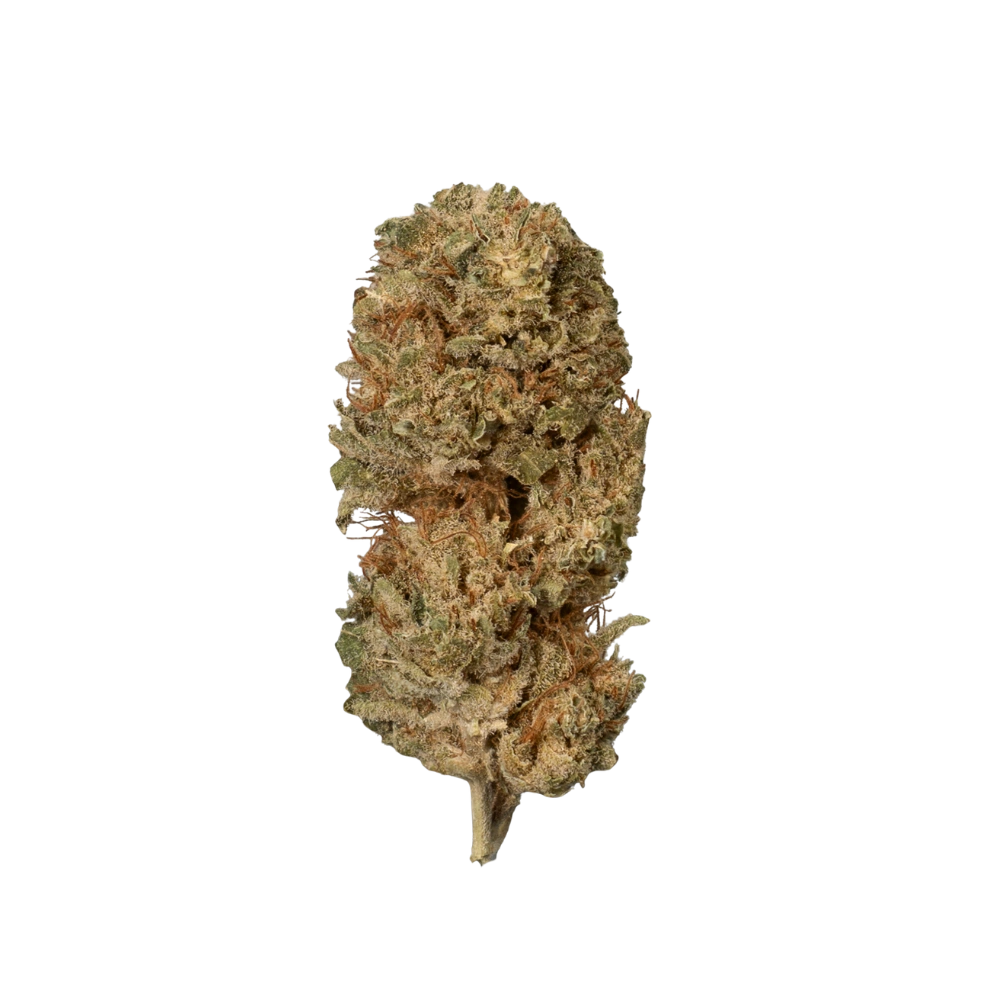 Lemon Tart CBD