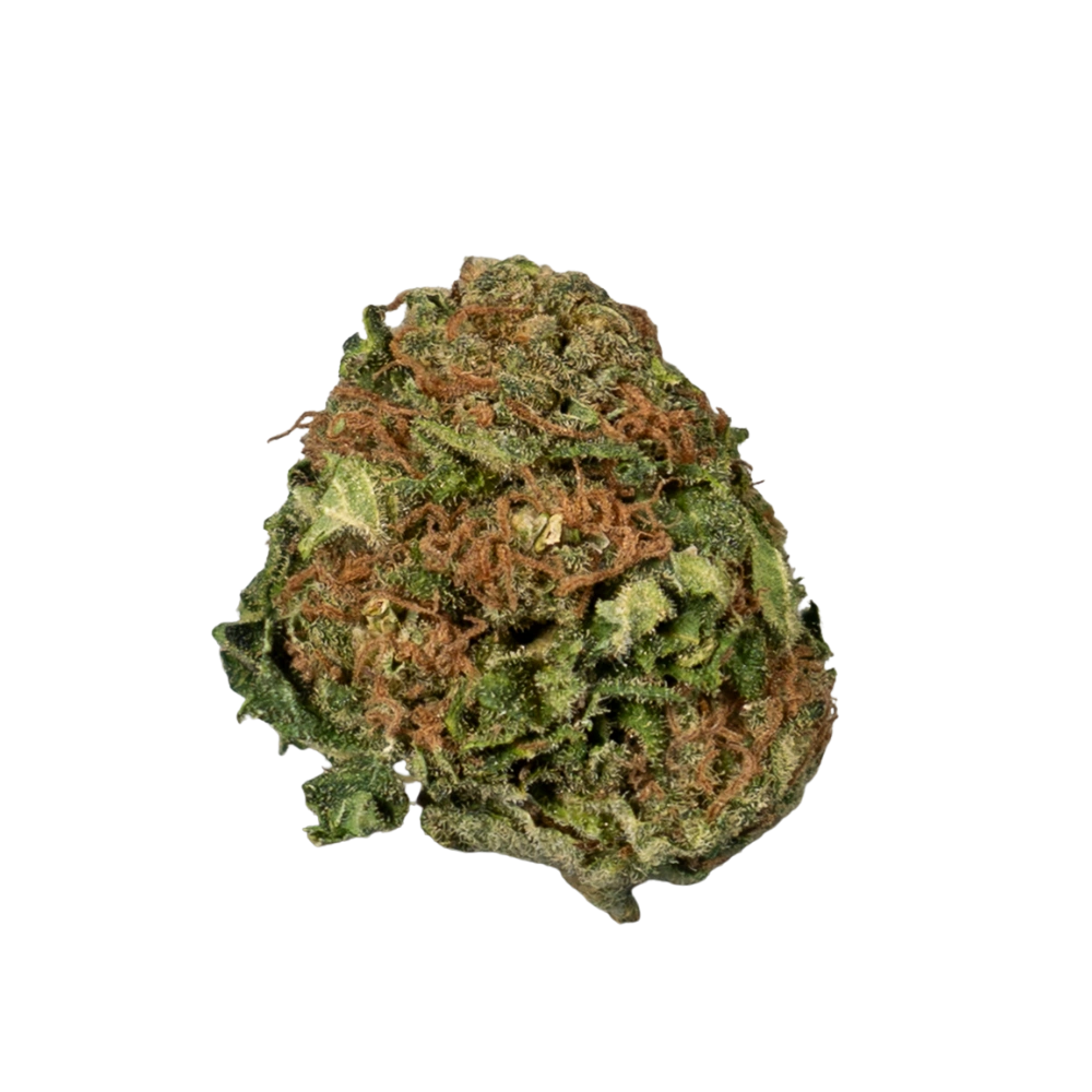 Orange Bud CBD