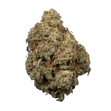 Orange Sherbet CBD