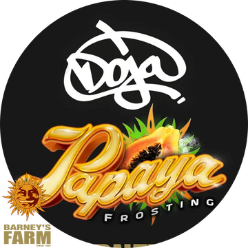 Papaya Frosting