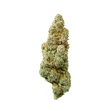 White Melon CBD