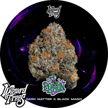 Potion