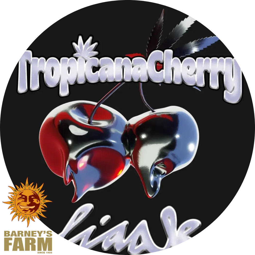 Tropicana Cherry